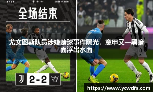 完美体育.WM