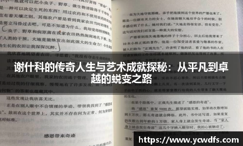 谢什科的传奇人生与艺术成就探秘：从平凡到卓越的蜕变之路